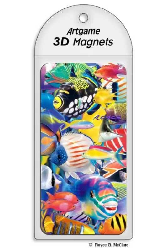 3D Magnet bunte Fische
